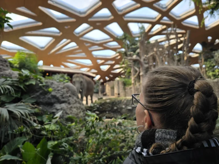 Mürhgeli Projekttage Zürich (7)